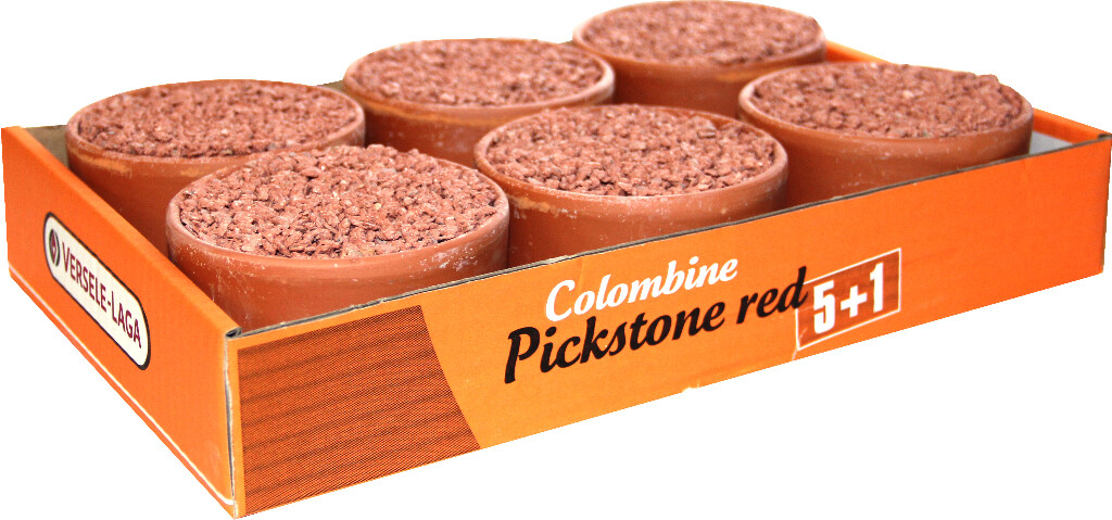 Pickstone red "tray 5 + 1" 3,6kg Pickstone red "tray 5 + 1" 3,6kg