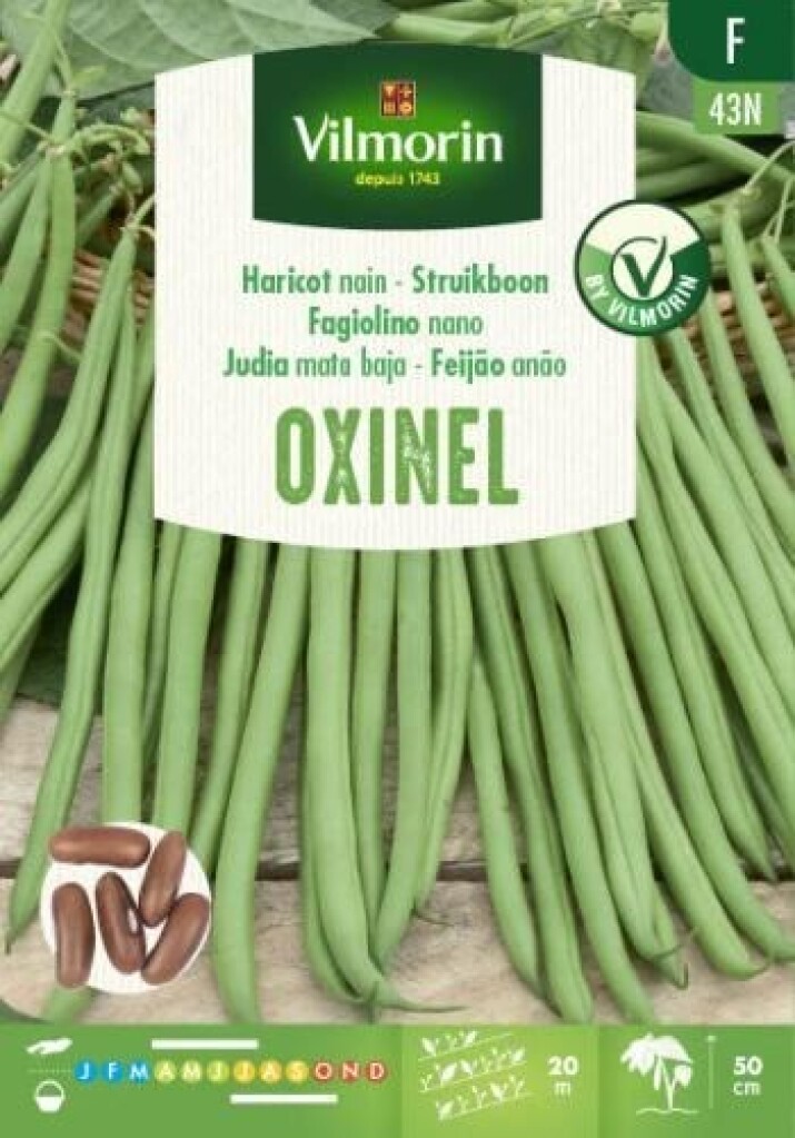 Haricot nain à filet sans fil Oxinel 30g Haricot nain à filet sans fil Oxinel 30g