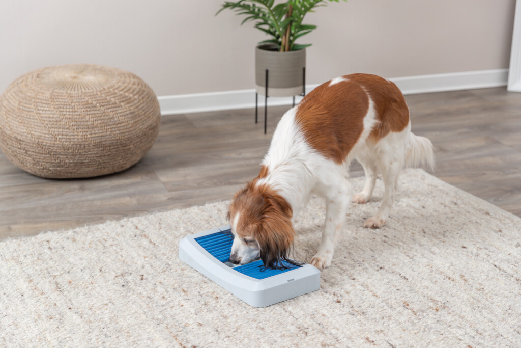 Dog Activity Rod Board