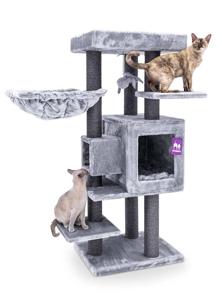 Grattoir Cleopatra 134 Gris