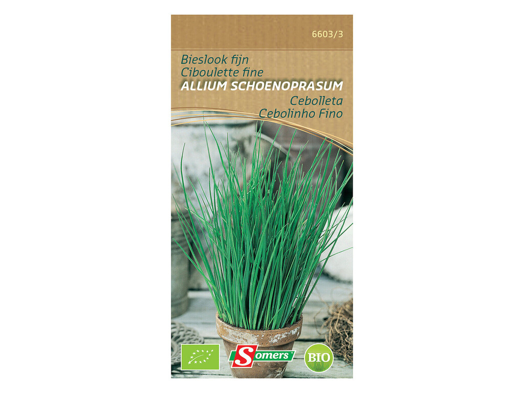 Be-Bio-02 Ciboulette fine