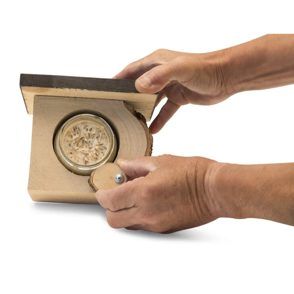 Pindakaaspothouder Calgary