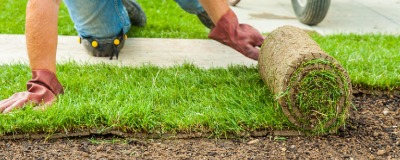 Poser du gazon en rouleau