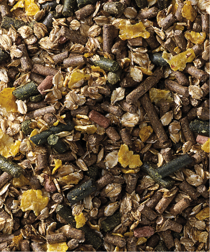 Harmony - Tradition Mix 20kg Harmony - Tradition Mix 20kg