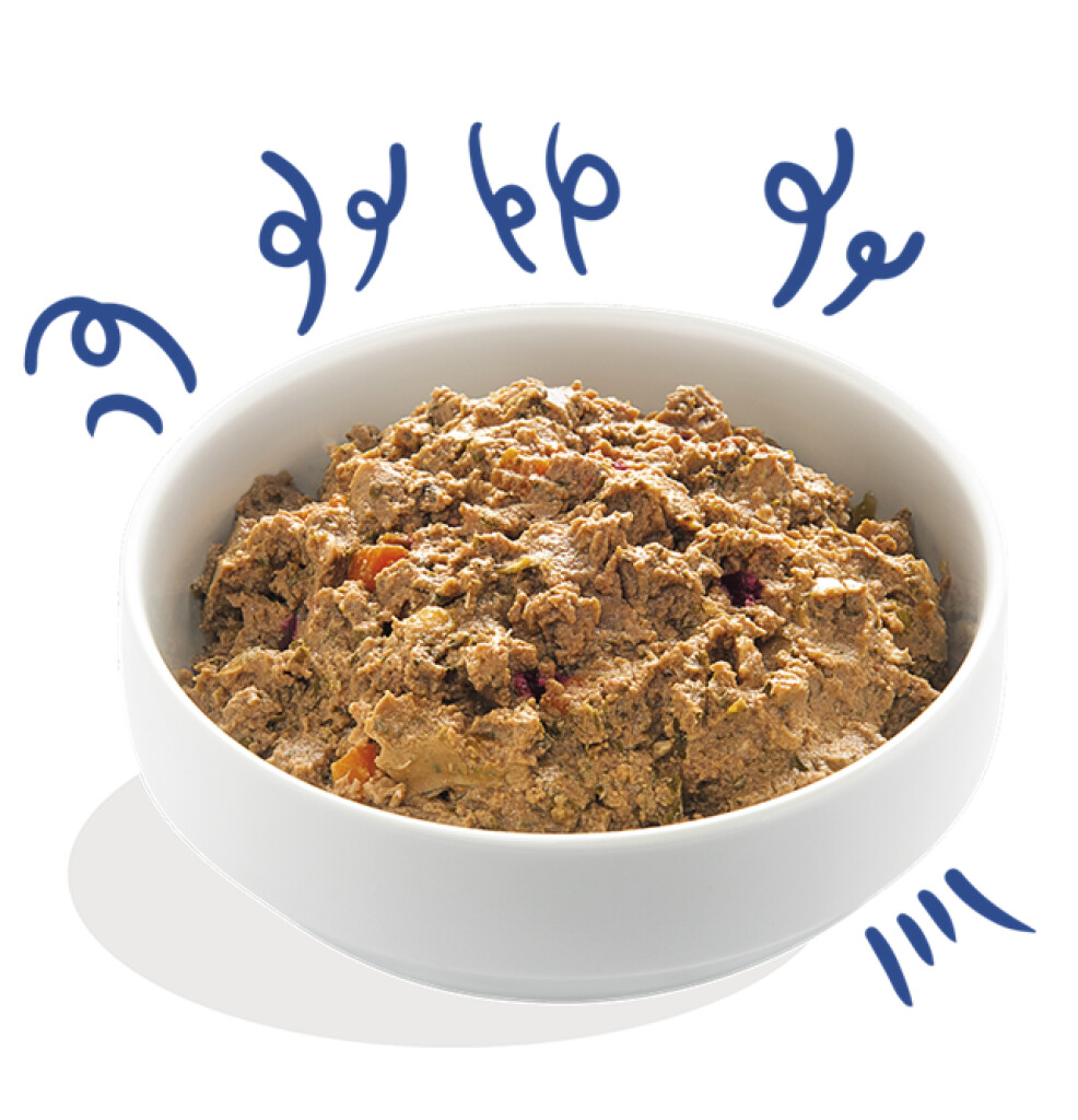 Zalm & kalkoen 150g - adult - kuipje