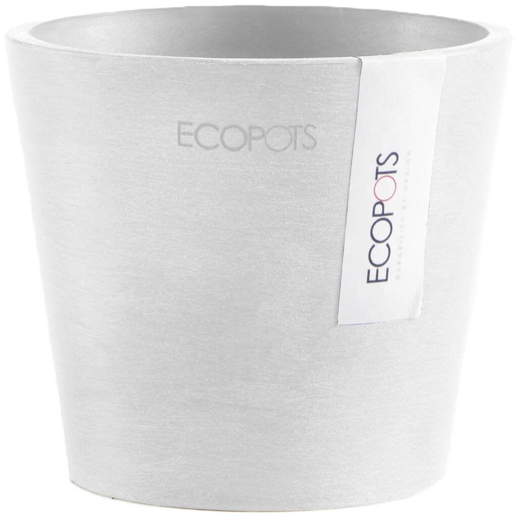 Amsterdam Mini 10,5 Blanc Pur