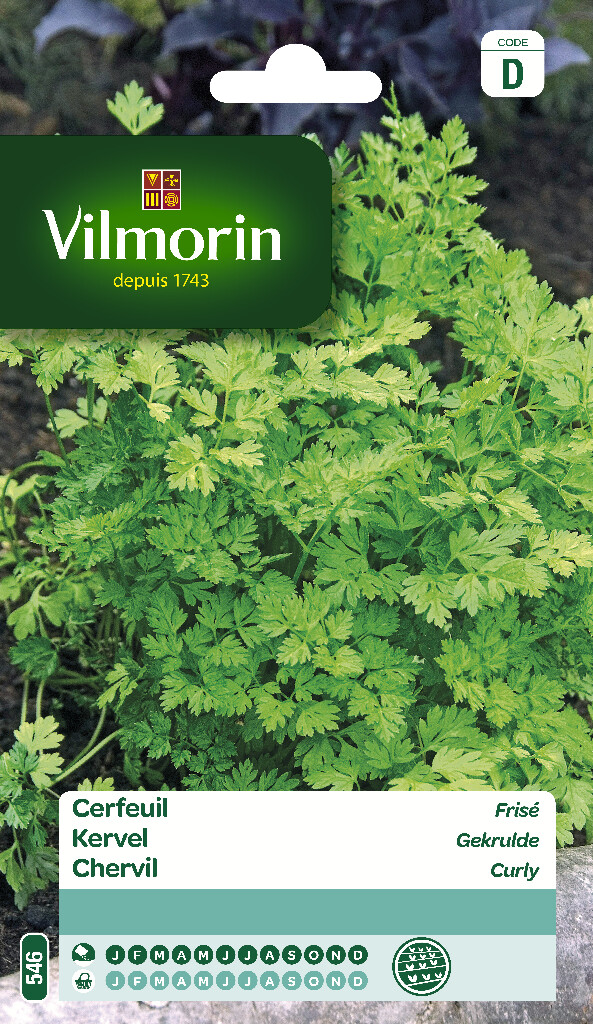 Cerfeuil Frisé 30g Cerfeuil Frisé 30g