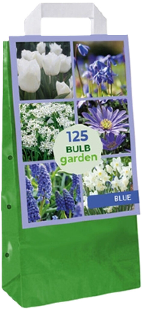 X1 tas 125 bulb Garden Blue