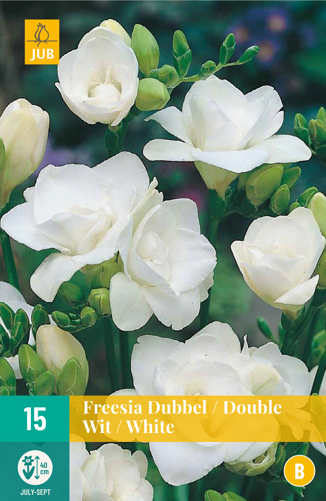 X15 Freesia Dubbel wit