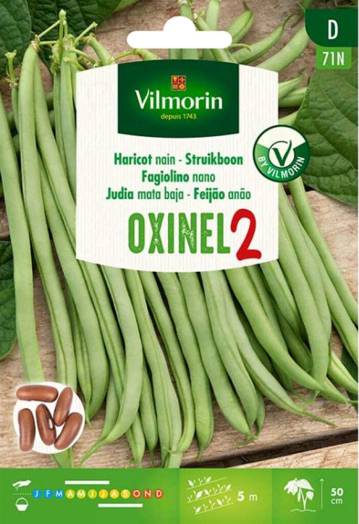 Haricot nain à filet sans fil Oxinel 2 30g