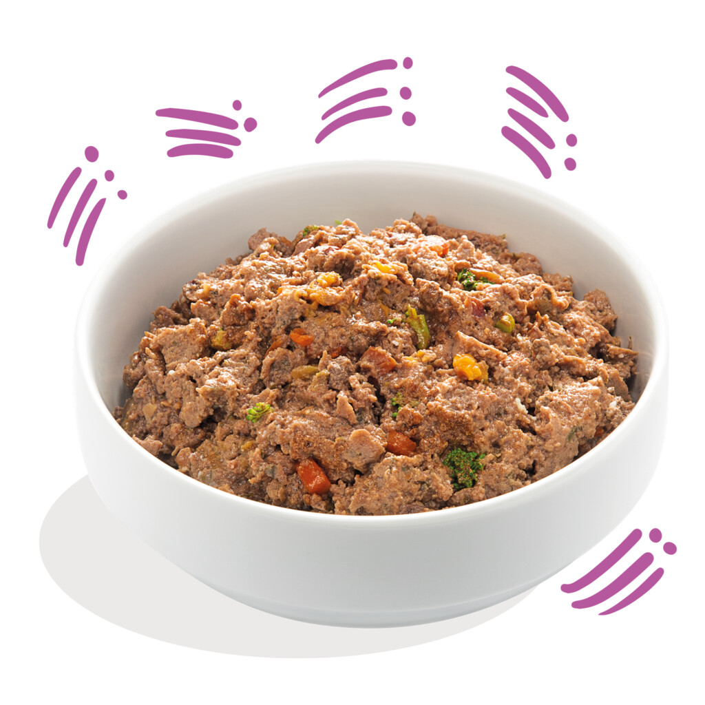 Wild & eend 150g - Adult - kuipje