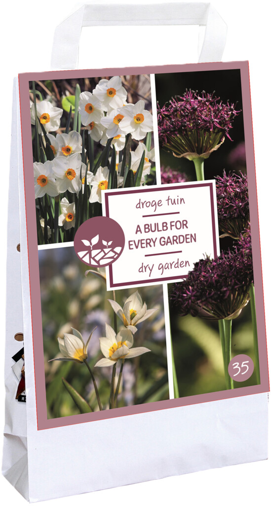 X1 Tas 35 Bulbs for every garden - Dry Garden I