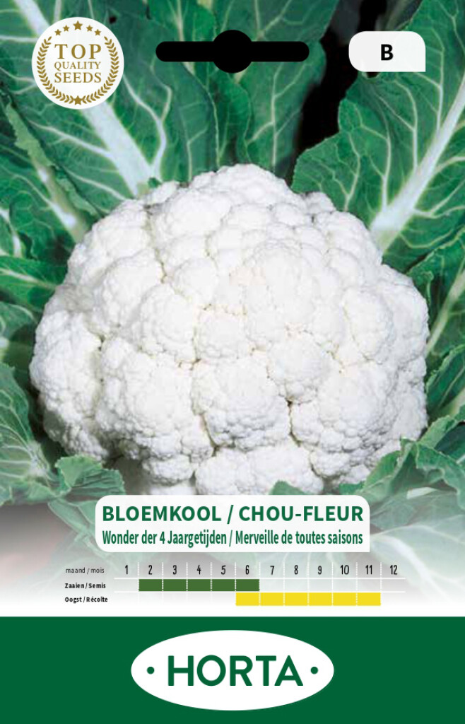 Bloemkool Wonder 4 Jaargetijden
