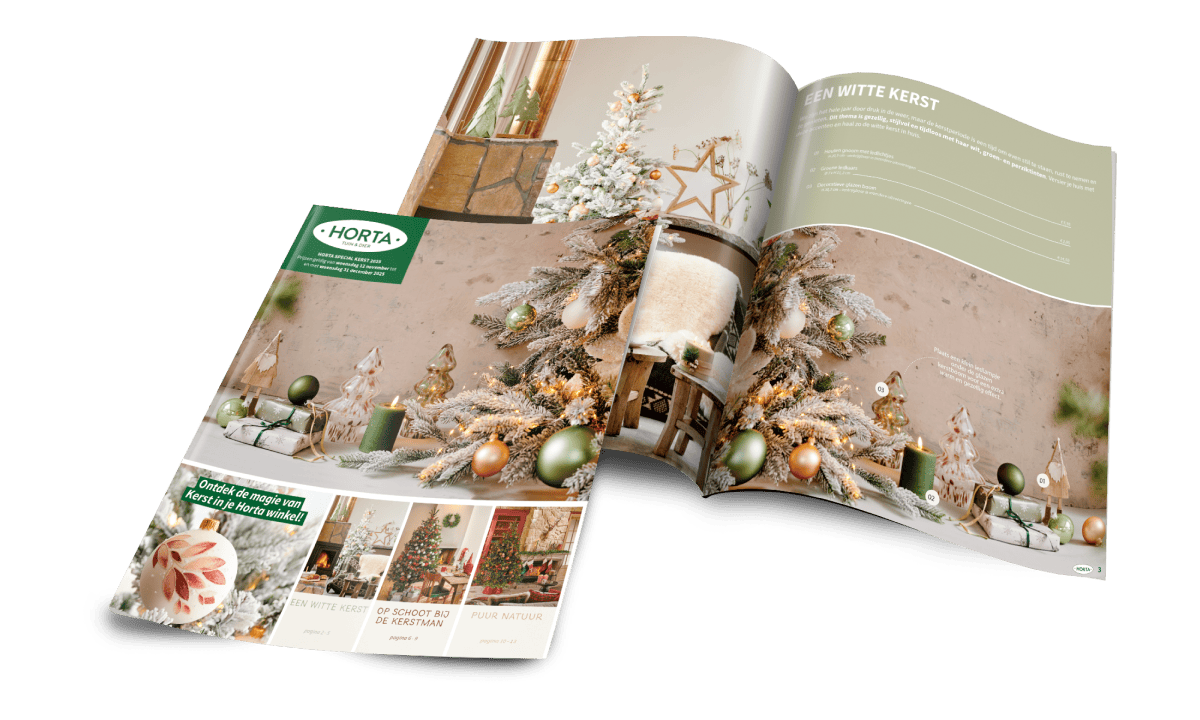 Folder spécial Noël