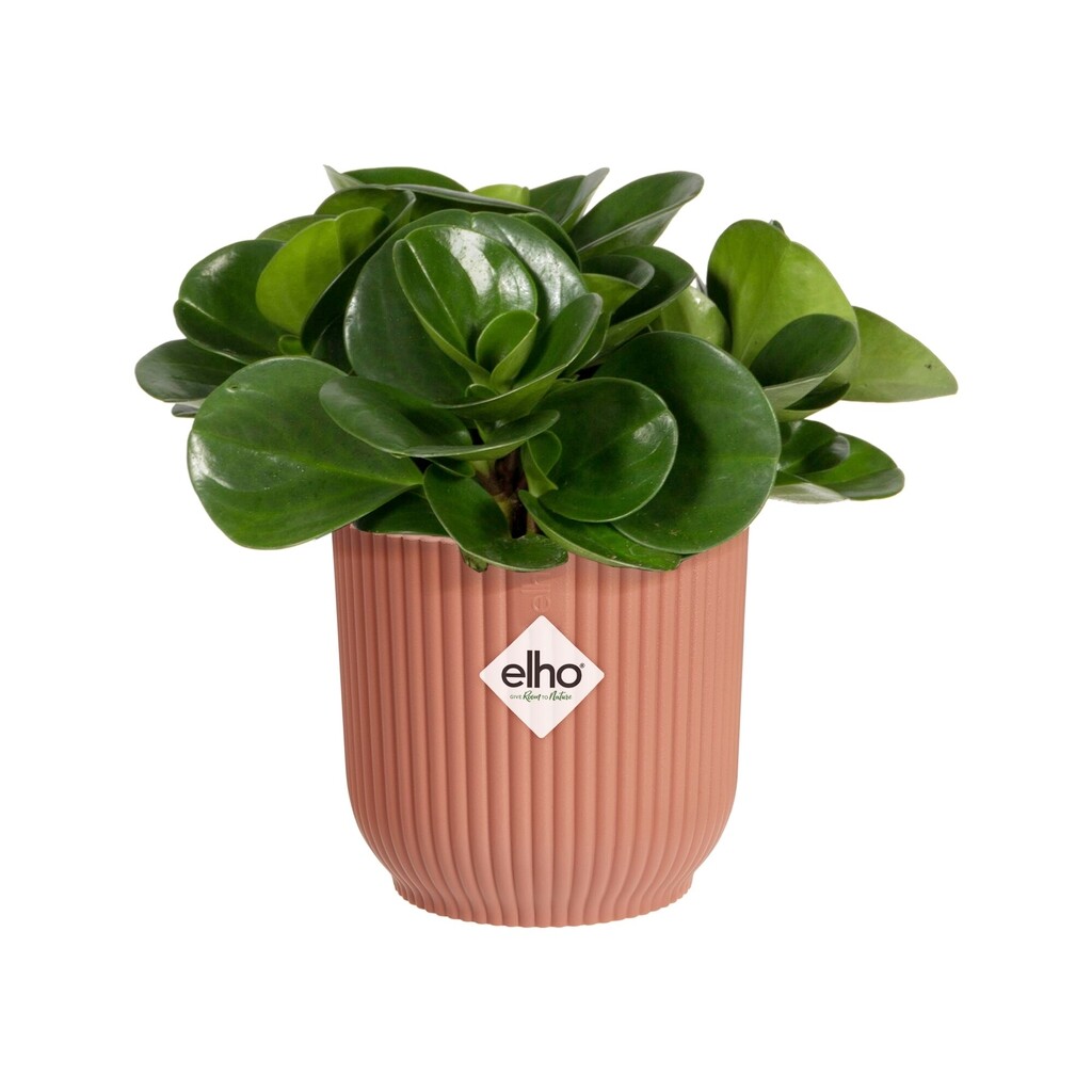 Vibes Fold Rond Mini 7cm delicaat roze Vibes Fold Rond Mini 7cm delicaat roze