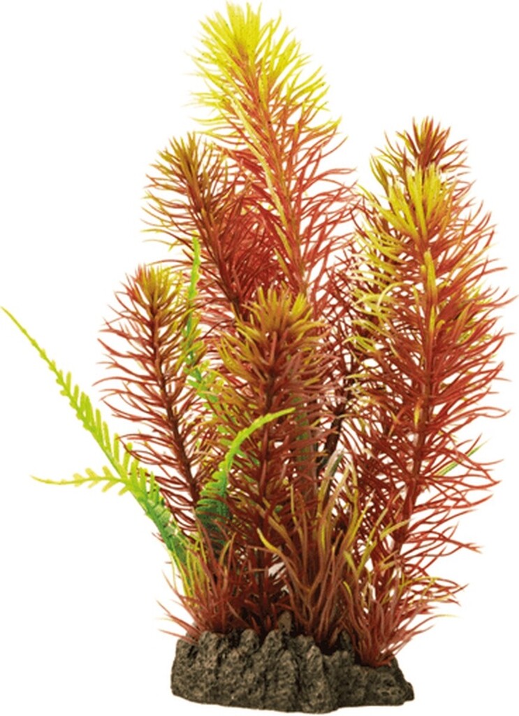 Art Plant 25cm Myriophyllum Red Art Plant 25cm Myriophyllum Red