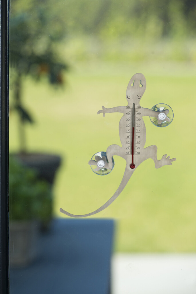Thermometer salamander rvs
