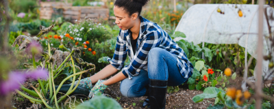 Moestuin voor beginners: 5 plantjes die iedereen kan kweken