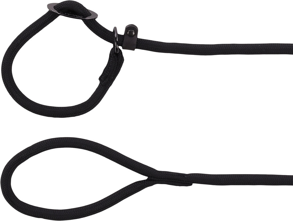 Laisse Anti-traction Aiden Noir 170cm 12mm 