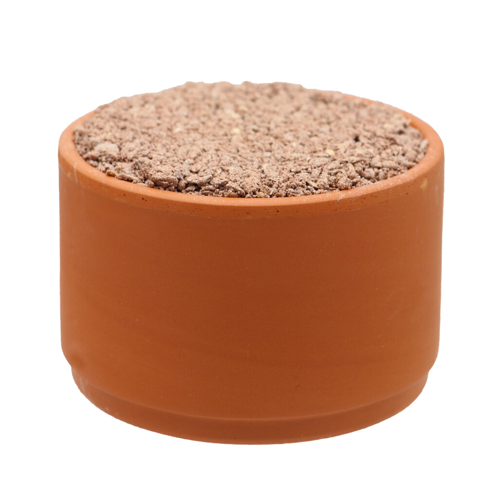 Pickstone red "tray 5 + 1" 3.6kg