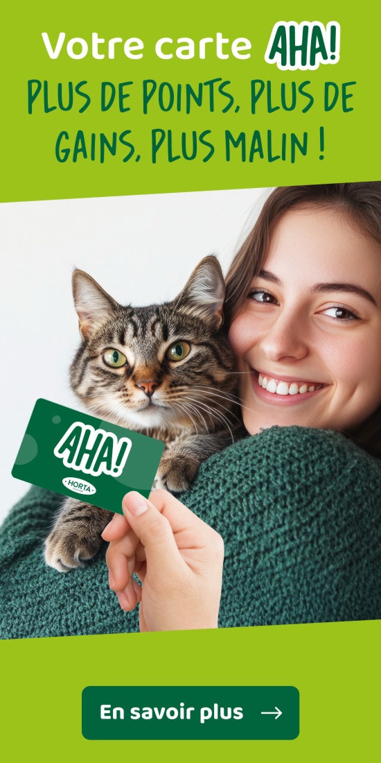 Votre carte AHA! Plus de points, plus de gains, plus malin !