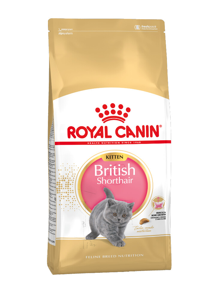 FBN Kitten British Shorthair 2kg