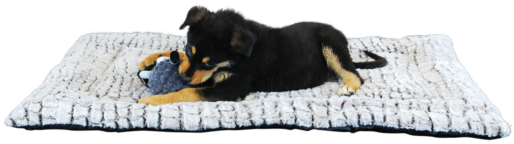 Snakeskin benchkussen L Bench kussen Snakeskin XXL