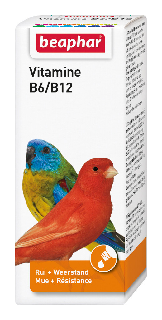 Vitamine B6/B12 50ml