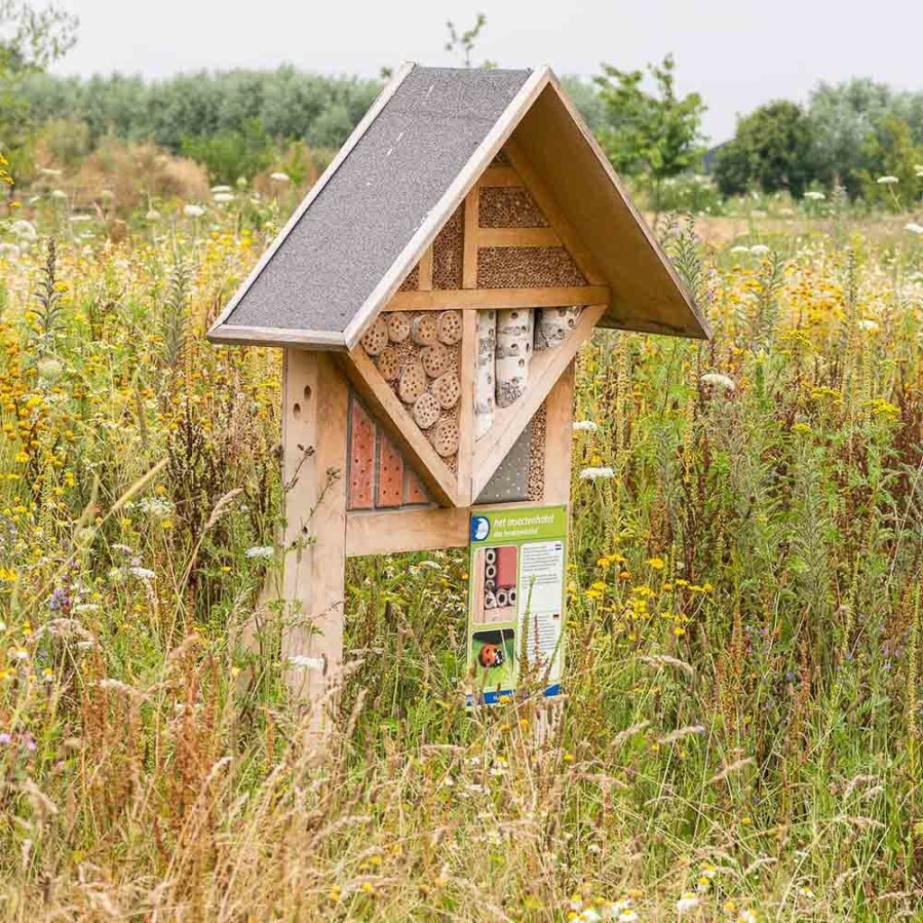 Hotel à insectes Sicilië