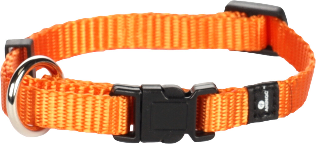 Collier Ziggi Orange XS 20-35cm 10mm