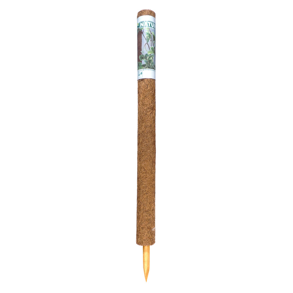 Tuteur en fibres de coco 90cm