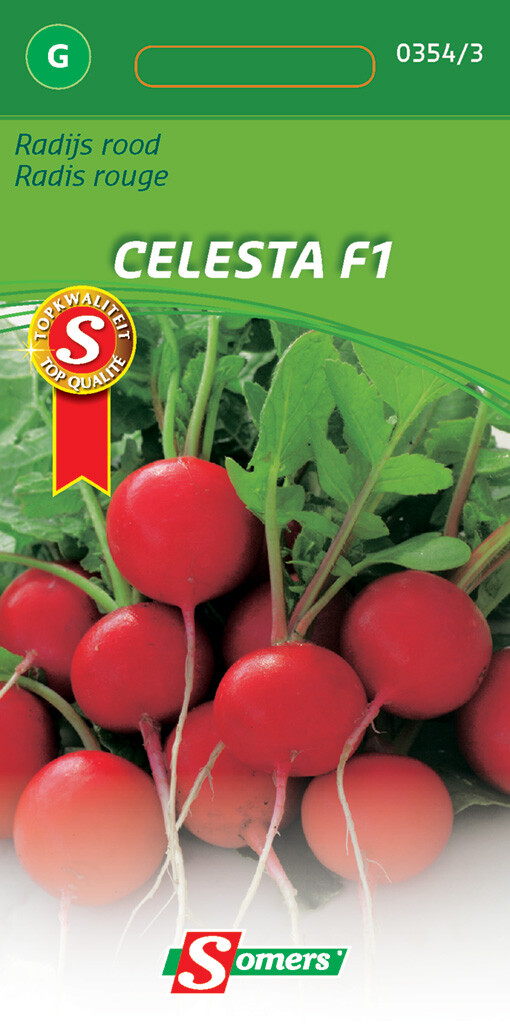 Radijs Rood Celesta F1