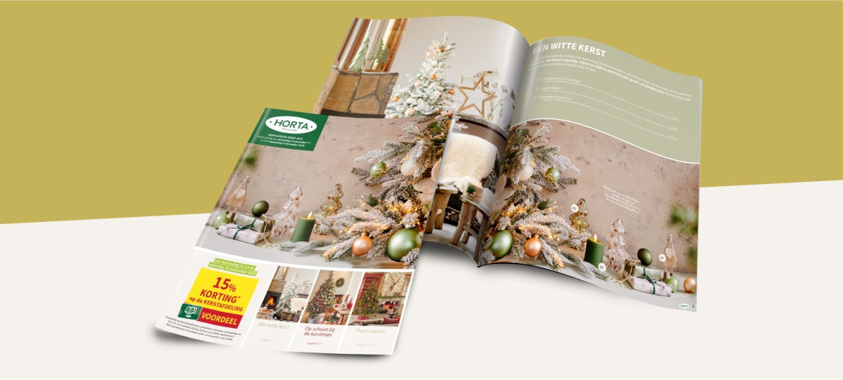 Folder spécial Noël