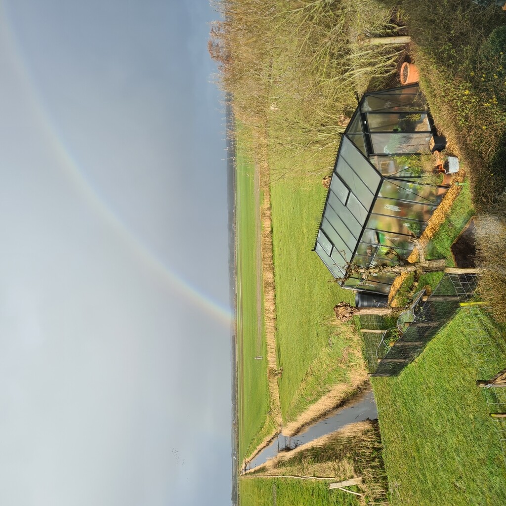 Serre S208 Blackline