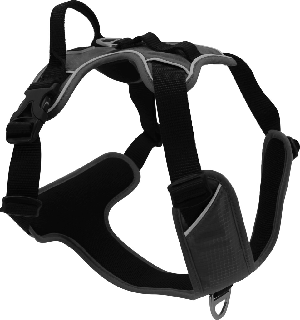 Expedition Harnais Noir XL