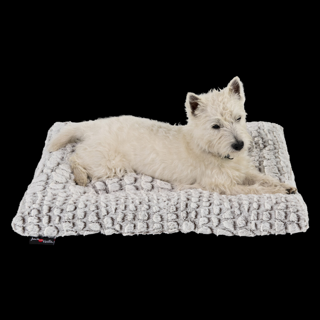 Coussin Snakeskin S Coussin Snakeskin S