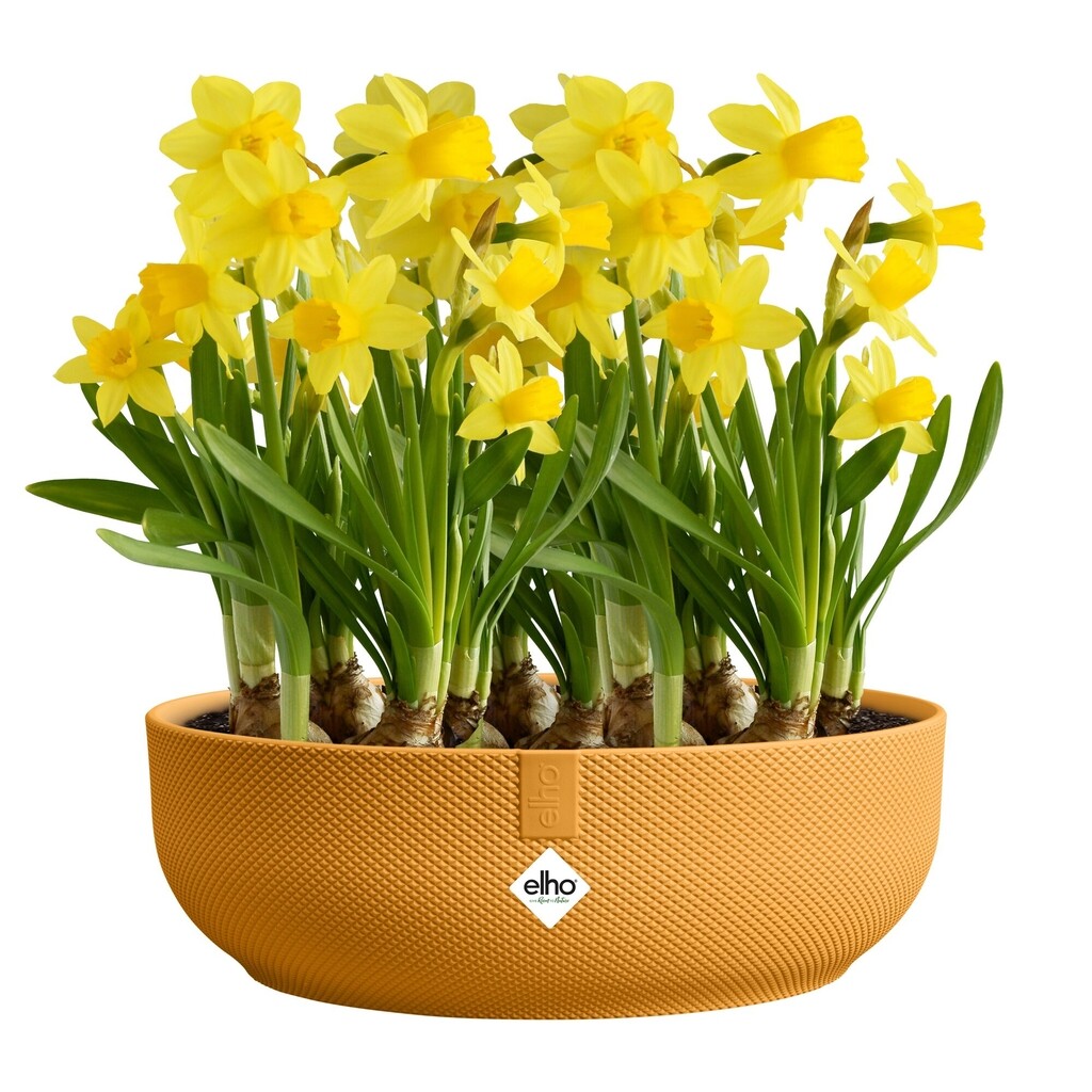 Jazz Bowl 28cm amber geel