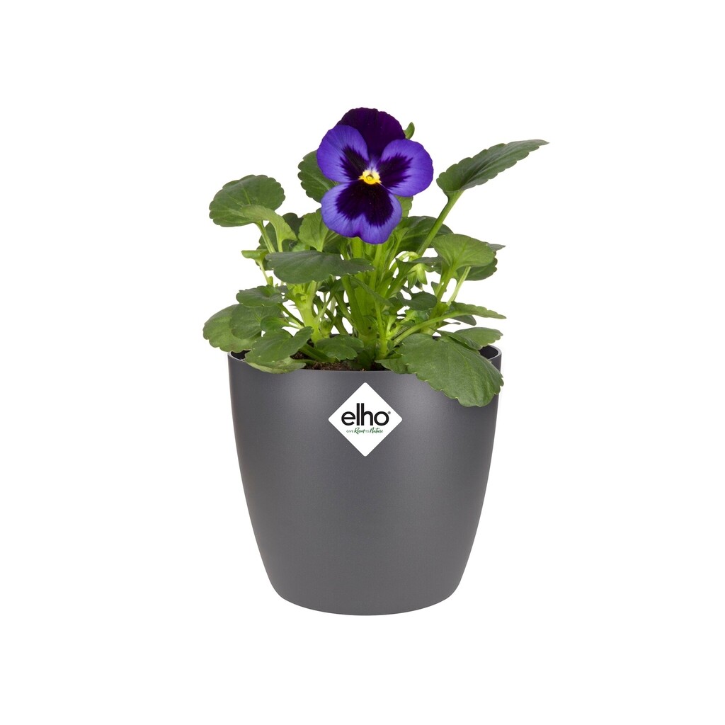 Brussels Rond Mini 10,5cm anthracite