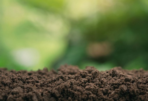 Optimale zuurtegraad van je bodem Optimale zuurtegraad van je bodem