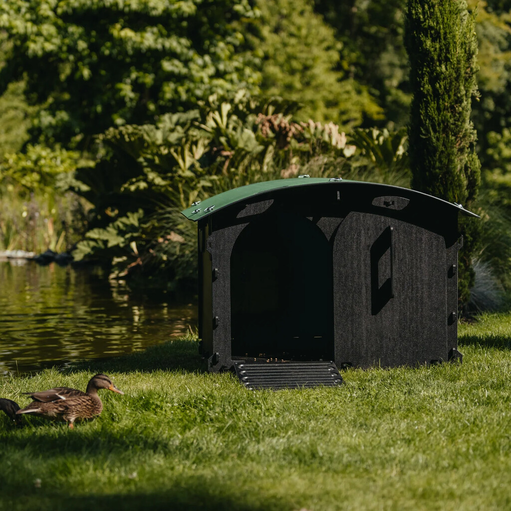 Abri pour canards et oies