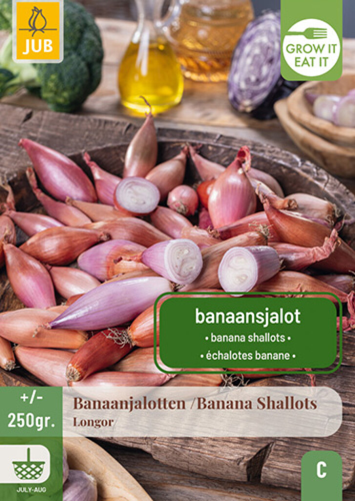 X 250 Gram sjalotten Longor