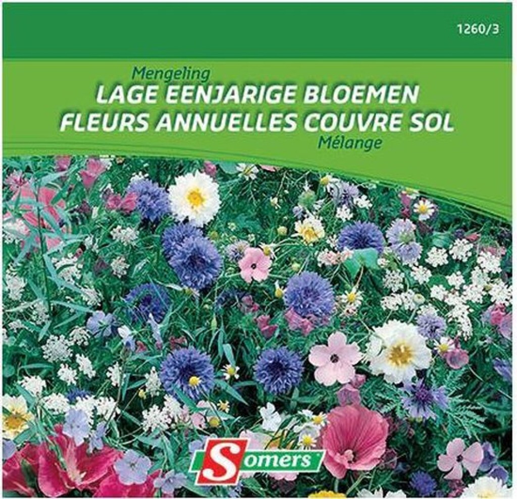 Mengeling Lage eenjarige bloemen