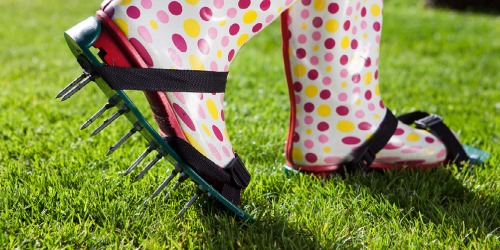 Vilt in je gazon bestrijden