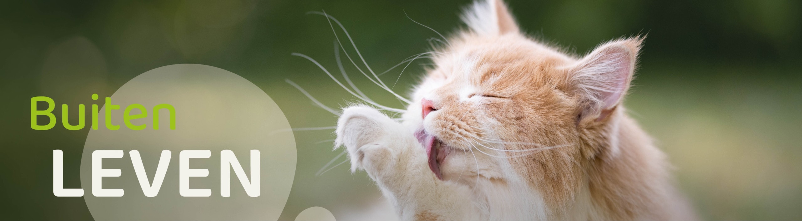 Buiten leven