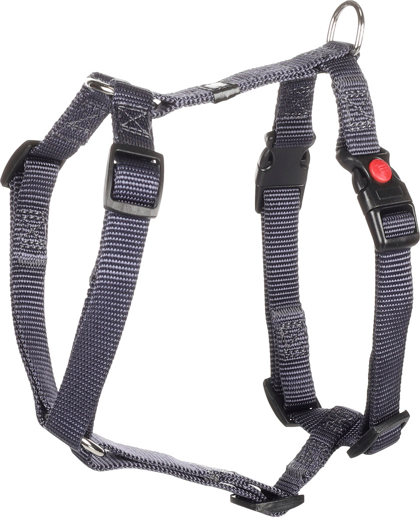 Harnais H Ziggi bleu granit S 35-50cm 15mm