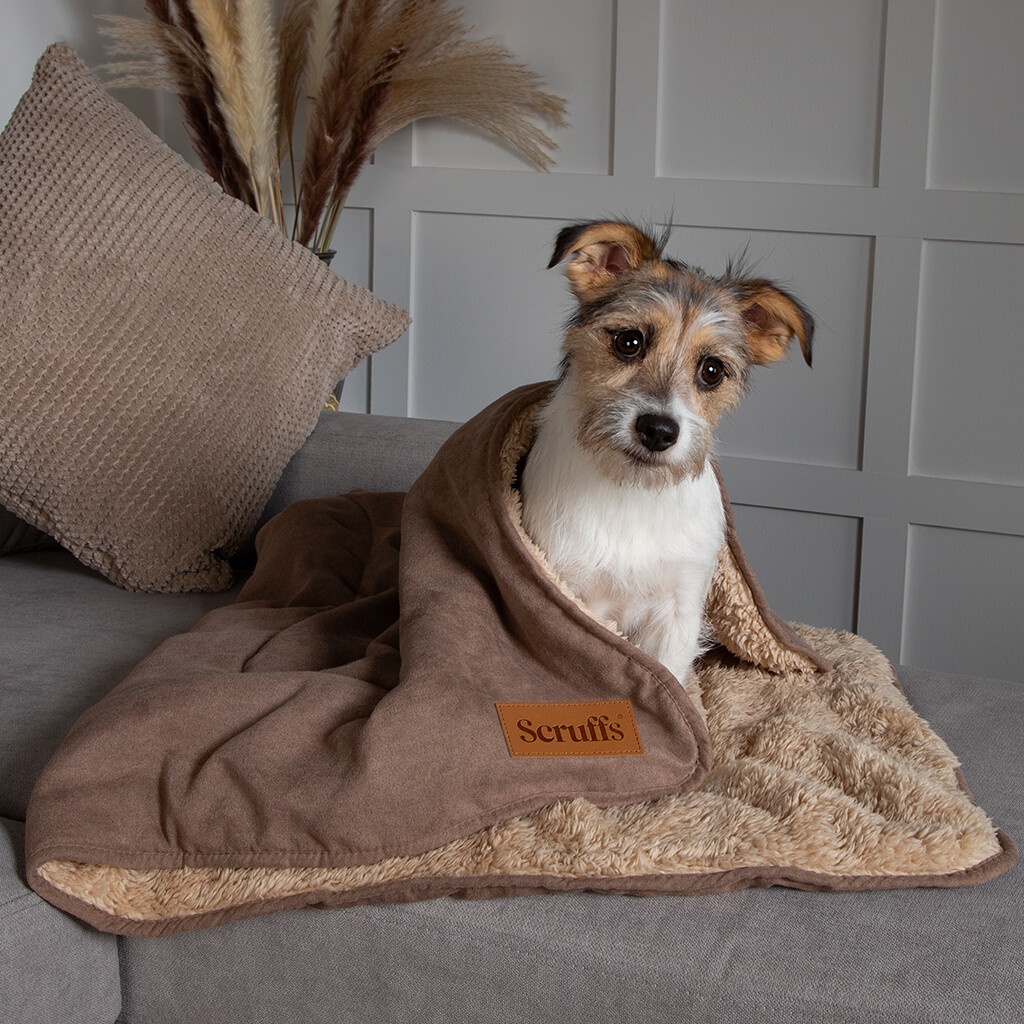 Couverture Cosy Chien Brun Caramel