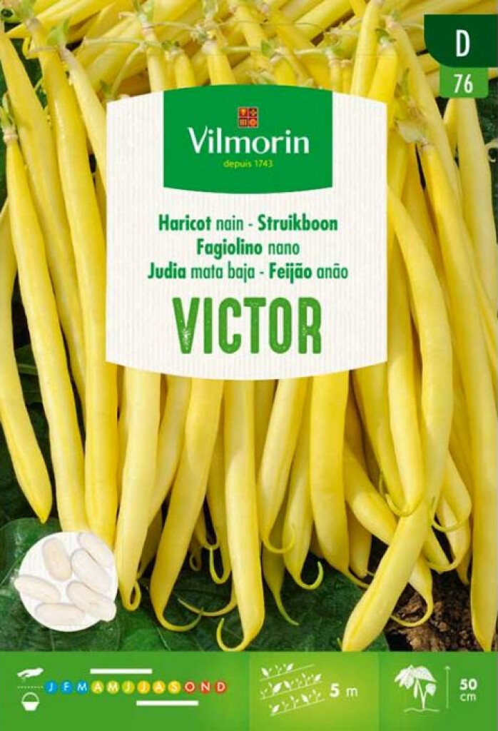 Haricot Beurre Victor 35g