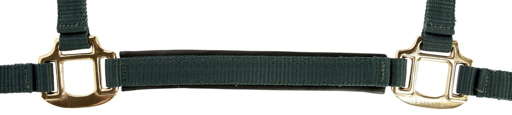 Licol poulain TopLine vert