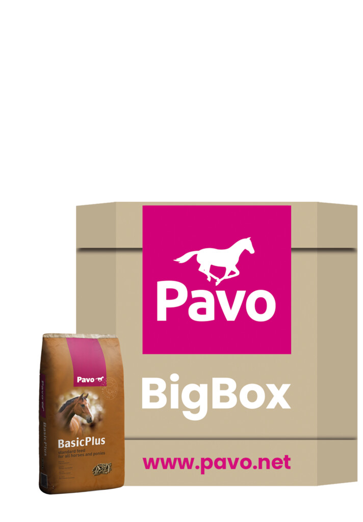 BasicPlus Big Box 725kg
