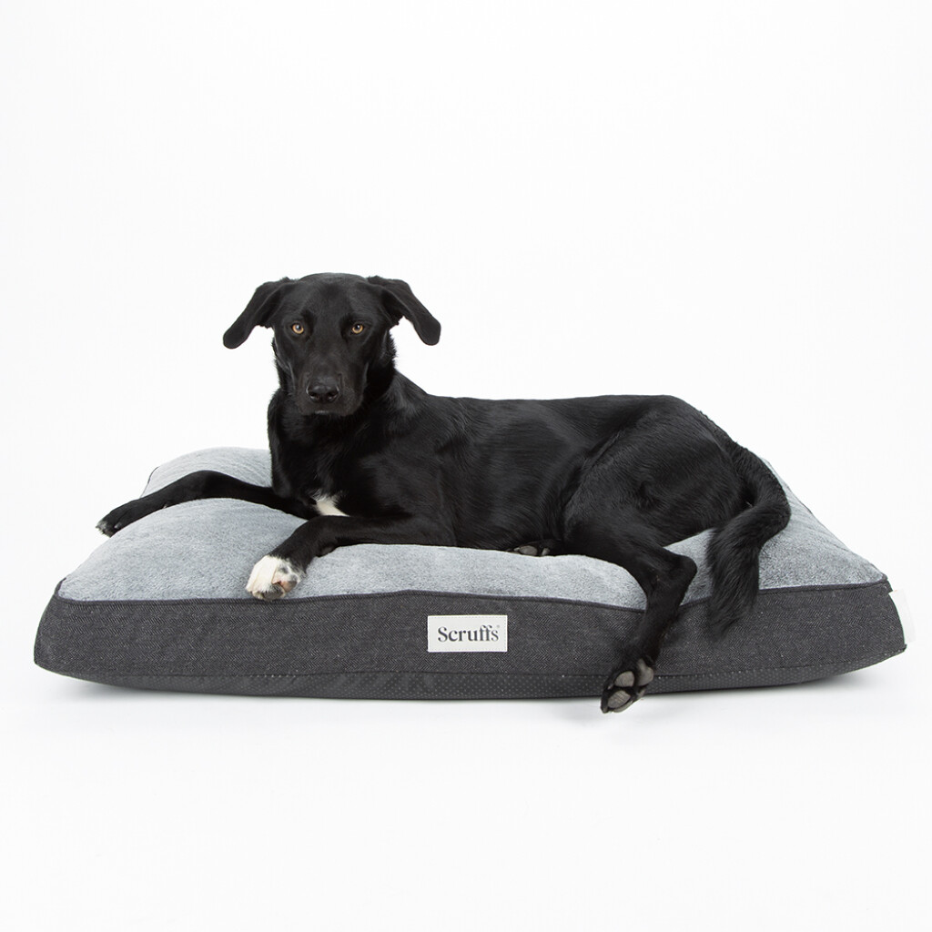 Harvard Memory Foam coussin orthopédique XL - Gris graphite Harvard Memory Foam coussin orthopédique XL - Gris graphite
